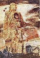 تصویر بندانگشتی از نسخهٔ مورخ ‏۱۹ نوامبر ۲۰۱۲، ساعت ۰۵:۱۷